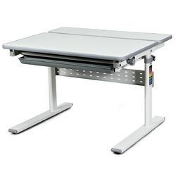 Adjustable Children's Writing Study Table with Drawer