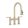 Double Handle Bridge Kitchen Faucet With Pull-Down Spray Head