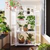 62inch Height Wood Large Greenhouse Balcony Portable Cold Frame with Wheels and Adjustable Shelves for Outdoor Indoor Use