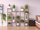 Plant Stand; Wood Indoor Outdoor Tiered Plant Shelf; 6 Tiers 14 Potted; Multi-Functional Creative Plant Shelves Ladder Plant Holder for Indoor Outdoor