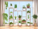 Plant Stand; Wood Indoor Outdoor Tiered Plant Shelf; 6 Tiers 14 Potted; Multi-Functional Creative Plant Shelves Ladder Plant Holder for Indoor Outdoor