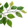 6FT Solid Wood 1260 Leaves Truncated Banyan Tree Simulation Tree Green