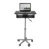 Techni Mobili Folding Table Laptop Cart; Graphite