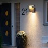 Outdoor Wall Light/ Path Light