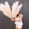 3PCS-43 inch Pampas Grass Decor Tall-Pompous Grass Large-Fluffy Artificial Pampas Grass-Fake Pampas Grass -Pompous Grass-Dried Pampas Grass