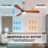 Ceiling Fan with Lights;  52" Ceiling Fan with Remote Control;  Noiseless Reversible DC Motor and 3 Wood Blades;  Timer;  6 Speed for Patio  Bedroom;