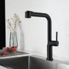 Matte Black Kitchen Faucet Pull Out Single Handle Sink Kitchen Faucet