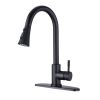 Pull Down Kitchen Faucet with Sprayer Stainless Steel